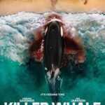 Killer Whale killer whale