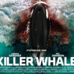 Killer Whale 4 Killer Whale 2026