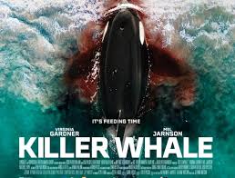Killer Whale 4 Killer Whale 2026