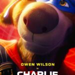 charlie the wonderdog 2026 0 charlie the wonderdog 2026 0 1