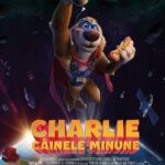 charlie the wonderdog 2026 7 charlie the wonderdog 2026 7