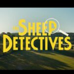 The Sheep Detectives (2026) 9 The Sheep Detectives (2026) 9