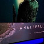 Whalefall (2026) 8